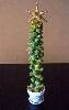 brussel sprouts christmas tree.jpg